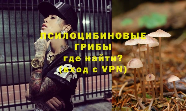 MESCALINE Аркадак