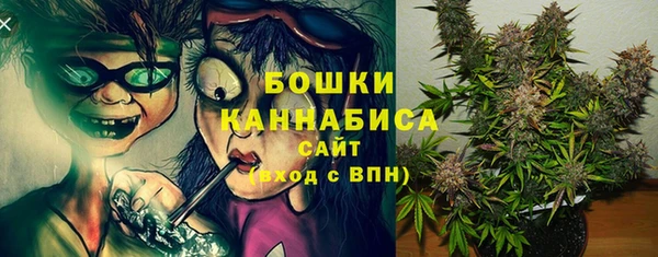 MESCALINE Аркадак