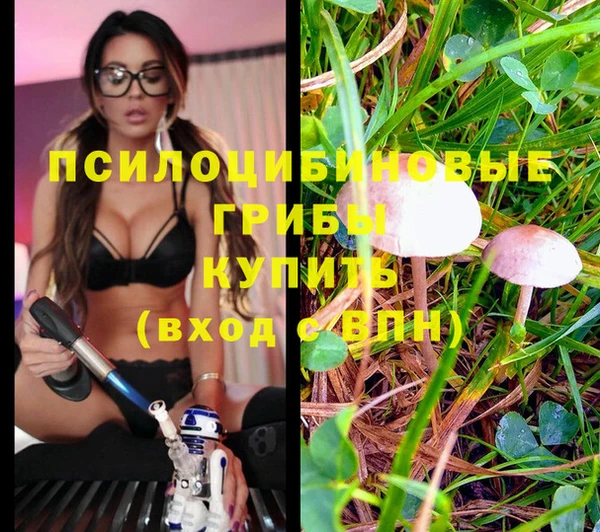 MESCALINE Аркадак