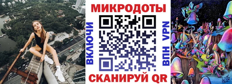 блэк спрут ТОР  Приозерск  Псилоцибиновые грибы Psilocybine cubensis 
